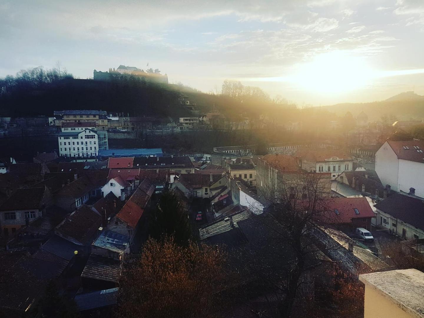 Vila Alba Brasov Room photo